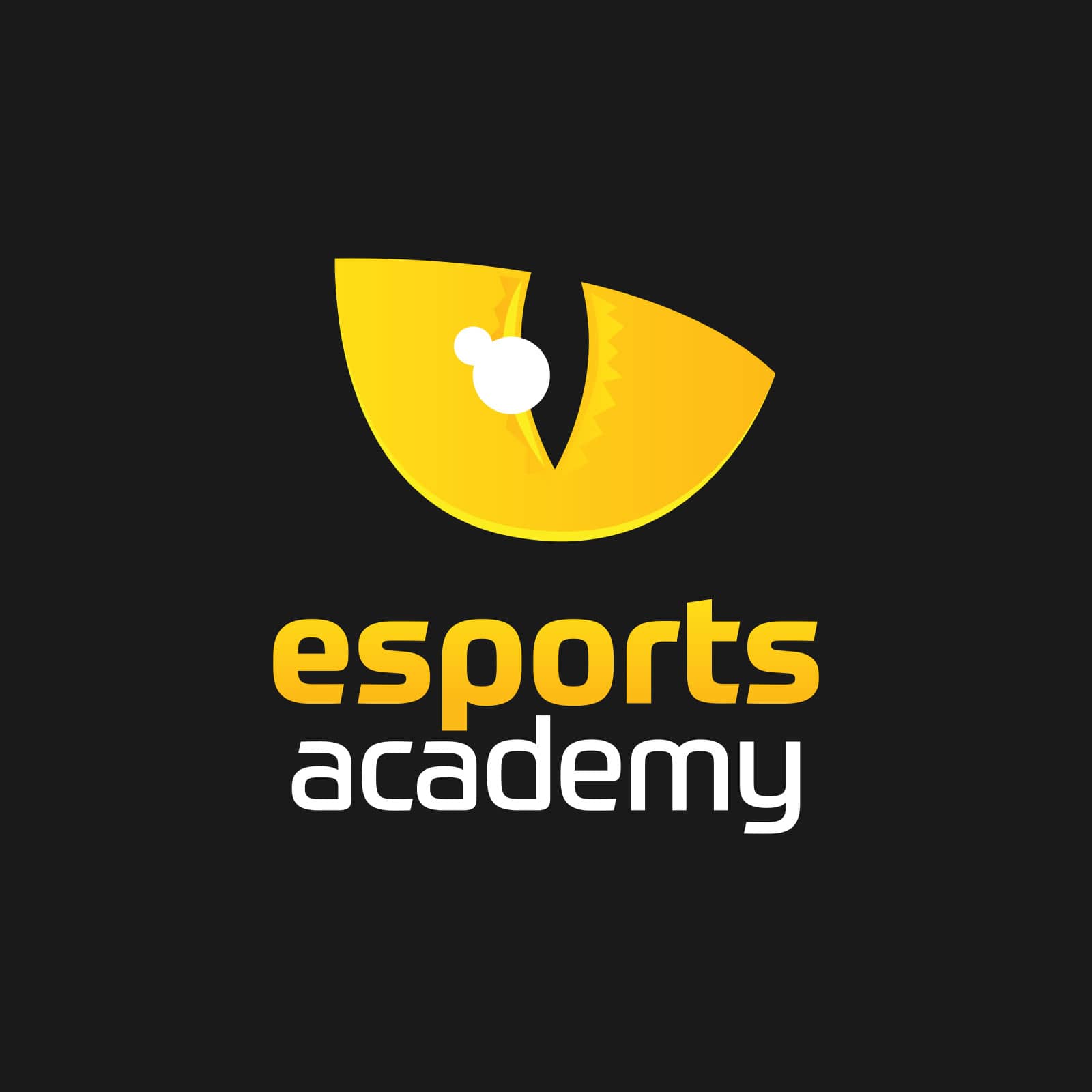 Logo design for Esports Academy